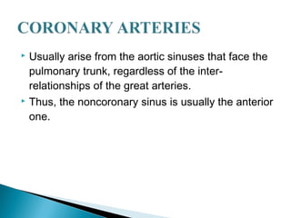  Usually arise from the aortic sinuses that face the
pulmonary trunk, regardless of the inter-
relationships of the great arteries.
 Thus, the noncoronary sinus is usually the anterior
one.
 
