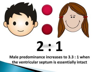 2 : 1Male predominance increases to 3.3 : 1 when
the ventricular septum is essentially intact
 