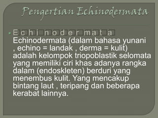 

E c h i n o d e r ma t a
Echinodermata (dalam bahasa yunani
, echino = landak , derma = kulit)
adalah kelompok triopoblastik selomata
yang memiliki ciri khas adanya rangka
dalam (endoskleten) berduri yang
menembus kulit. Yang mencakup
bintang laut , teripang dan beberapa
kerabat lainnya.

 