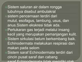  Sistem

saluran air dalam rongga
tubuhnya disebut ambulakral
 sistem pencernaan terdiri dari
mulut, esofagus, lambung, usus, dan
anus.Sistem ekskresi tidak ada.
 Pertukaran gas terjadi melalui insang
kecil yang merupakan pemanjangan kulit.
 Sistem sirkulasi belum berkembang baik.
Echinodermata melakukan respirasi dan
makan pada selom
 Sistem saraf Echinodermata terdiri dari
cincin pusat saraf dan cabang

 