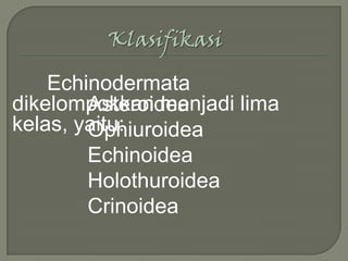 Klasifikasi

Echinodermata
dikelompokkan menjadi lima
Asteroidea
kelas, yaitu:
Ophiuroidea
Echinoidea
Holothuroidea
Crinoidea

 