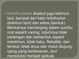 Holothuroidea

disebut juga ketimun
laut, berasal dari kata holothurion
(ketimun laut) dan eidos (bentuk).
Bentuknya memanjang dalam sumbu
oral seperti cacing, tubuhnya tidak
berlengan dan berbentuk seperti
mentimun, tidak kaku, fleksible, dan
lembut, letak anus dan mulut diujungujung yang berlawanan, duri
mereduksi menjadi spikula.

 