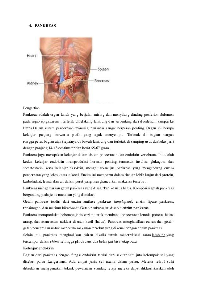 Tgas sistem pncernaan
