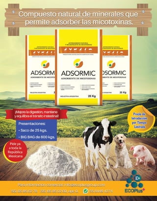 Tu Guía Central - Ed. enero 2019