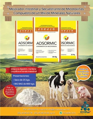 TU GUÍA CENTRAL / 6
 