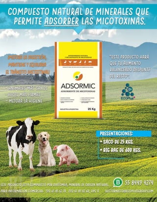 Tu Guía Central - Ed. noviembre 2018