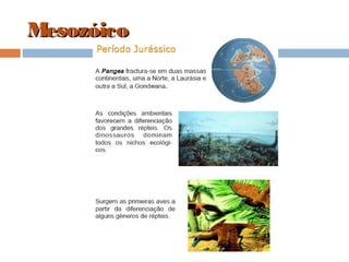 MesozóicoMesozóico
 