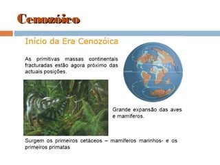 CenozóicoCenozóico
 