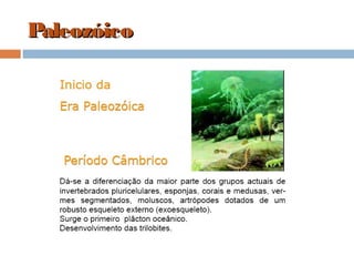 PaleozóicoPaleozóico
 