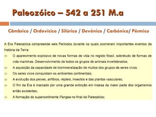 Paleozóico – 542 a 251 M.a Câmbrico / Ordovícico / Silúrico / Devónico / Carbónico / Pérmico