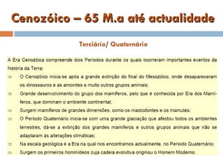 Cenozóico – 65 M.a até actualidade Terciário / Quaternário