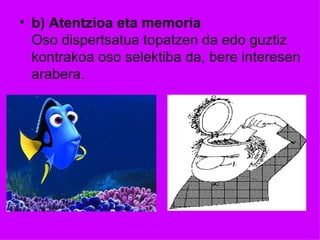 • b) Atentzioa eta memoria
  Oso dispertsatua topatzen da edo guztiz
  kontrakoa oso selektiba da, bere interesen
  arabera.
 