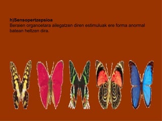 h)Sensopertzepsioa
Beraien organoetara ailegatzen diren estimuluak ere forma anormal
batean heltzen dira.
 