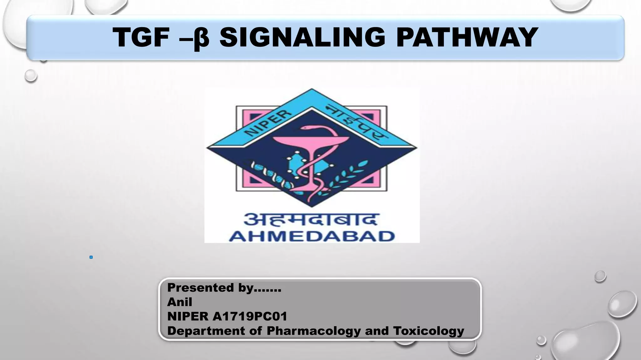 Tgf beta signalling pathway | PPTX