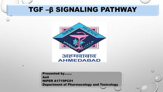 Tgf beta signalling pathway | PPTX
