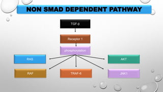 Tgf beta signalling pathway | PPTX