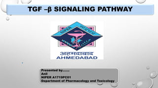 Presented by…….
Anil
NIPER A1719PC01
Department of Pharmacology and Toxicology
TGF –β SIGNALING PATHWAY
 