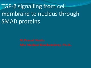 TGF-β signalling from cell
membrane to nucleus through
SMAD proteins
M.Prasad Naidu
MSc Medical Biochemistry, Ph.D,.
 