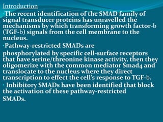 Introduction
•The recent identification of the SMAD family of
signal transducer proteins has unravelled the
mechanisms by which transforming growth factor-b
(TGF-b) signals from the cell membrane to the
nucleus.
•Pathway-restricted SMADs are
phosphorylated by specific cell-surface receptors
that have serine/threonine kinase activity, then they
oligomerize with the common mediator Smad4 and
translocate to the nucleus where they direct
transcription to effect the cell’s response to TGF-b.
• Inhibitory SMADs have been identified that block
the activation of these pathway-restricted
SMADs.
 