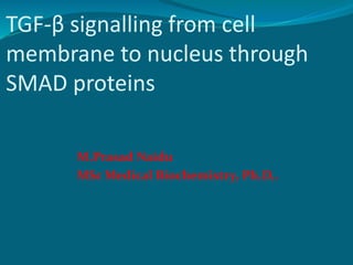 TGF-β signalling from cell
membrane to nucleus through
SMAD proteins
M.Prasad Naidu
MSc Medical Biochemistry, Ph.D,.
 