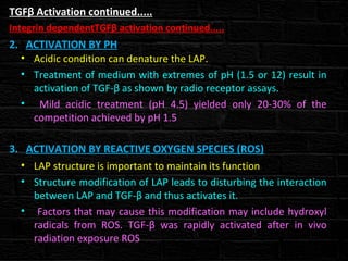 TGFβ Activation continued.....
Integrin dependentTGFβ activation continued.....
2. ACTIVATION BY PH
• Acidic condition can denature the LAP.
• Treatment of medium with extremes of pH (1.5 or 12) result in
activation of TGF-β as shown by radio receptor assays.
• Mild acidic treatment (pH 4.5) yielded only 20-30% of the
competition achieved by pH 1.5
3. ACTIVATION BY REACTIVE OXYGEN SPECIES (ROS)
• LAP structure is important to maintain its function
• Structure modification of LAP leads to disturbing the interaction
between LAP and TGF-β and thus activates it.
• Factors that may cause this modification may include hydroxyl
radicals from ROS. TGF-β was rapidly activated after in vivo
radiation exposure ROS
 
