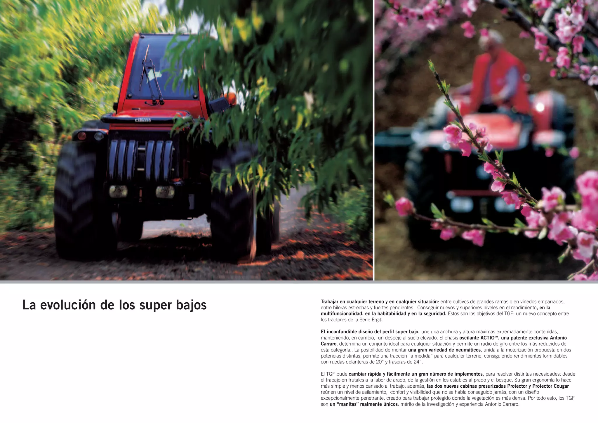 TGF SERIE ERGIT_'09 SPA