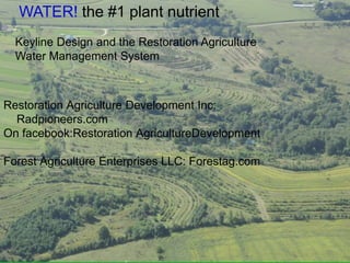 WATER! the #1 plant nutrient
Keyline Design and the Restoration Agriculture
Water Management System
Restoration Agriculture Development Inc:
Radpioneers.com
On facebook:Restoration AgricultureDevelopment
Forest Agriculture Enterprises LLC: Forestag.com
 