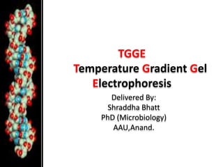 TGGETemperature Gradient Gel Electrophoresis  Delivered By: Shraddha Bhatt PhD (Microbiology) AAU,Anand. 
