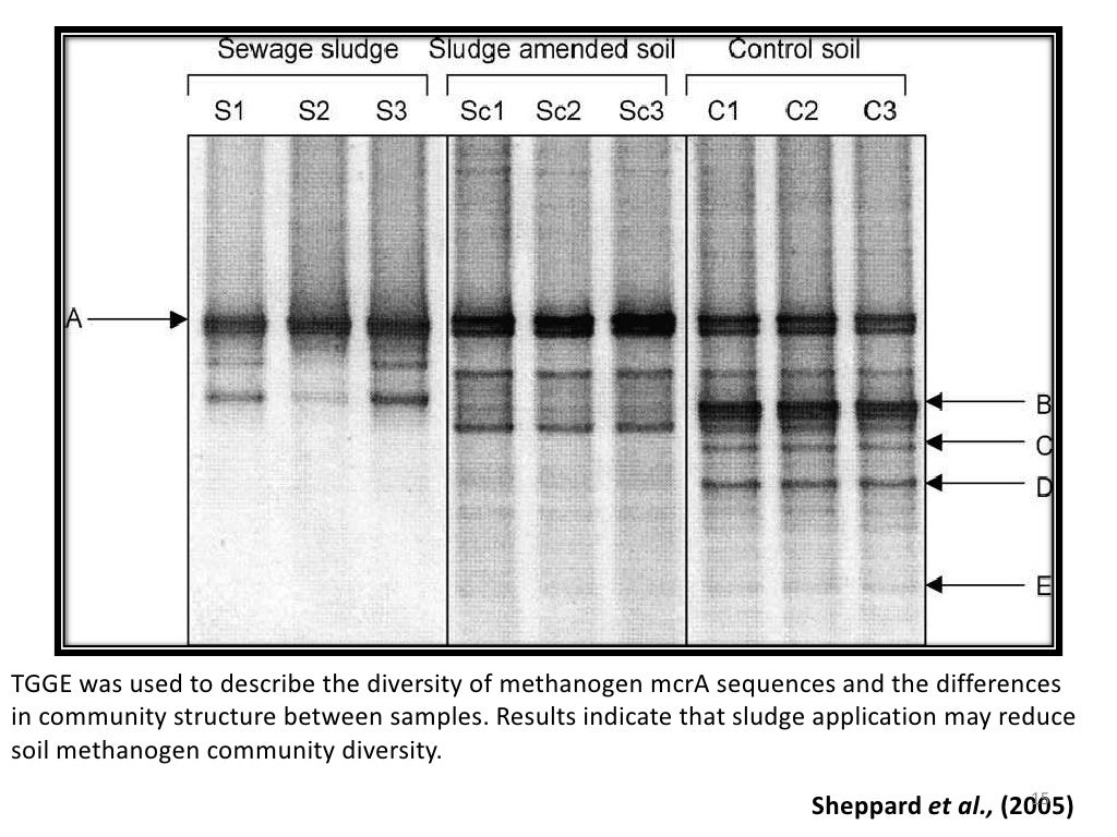 Temperature Gradient Gel Electrophoresis