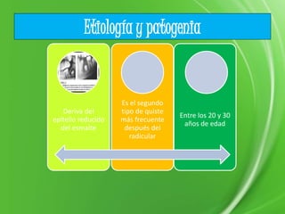 Etiología y patogenia
Deriva del
epitelio reducido
del esmalte
Es el segundo
tipo de quiste
más frecuente
después del
radicular
Entre los 20 y 30
años de edad
 