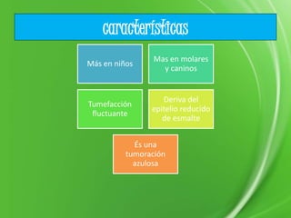 características
Más en niños
Mas en molares
y caninos
Tumefacción
fluctuante
Deriva del
epitelio reducido
de esmalte
És una
tumoración
azulosa
 
