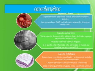 característicaAspectos clínicos
Se presentan en pacientes con un amplio intervalo de
edades.
Las presencia de QQO múltiples son rasgos del síndrome
Gorlin-Goltz.
Aspecto radiográfico
Tiene aspecto de una lesión solitaria, bien definida, con una
radiolucidez multilocular.
Muestra un borde cortical delgado.
Si el quiste esta inflamado o ha perforado el hueso, su
visualización será muy difícil.
Aspecto histologico
Presenta un revestimiento delgado y uniforme de epitelio
escamoso ortoqueratinizado
Capa de células basales cilíndricas o cuboidales
Capa de ortoqueratina arrugada en su superficie luminal
 