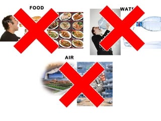FOOD

WATER

AIR

 