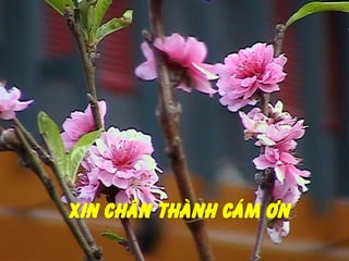 Xin chaân thaønh caùm ôn
 