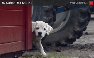 Budweiser - The cute one #TopSuperBowl
 