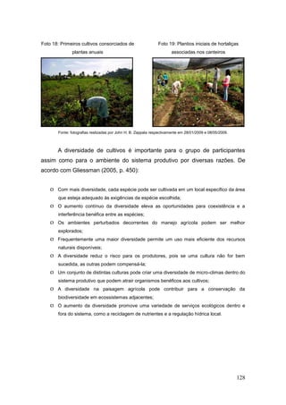 Foto 18: Primeiros cultivos consorciados de                    Foto 19: Plantios iniciais de hortaliças
              plantas anuais                                           associadas nos canteiros




       Fonte: fotografias realizadas por John H. B. Zappala respectivamente em 28/01/2009 e 08/05/2009.



       A diversidade de cultivos é importante para o grupo de participantes
assim como para o ambiente do sistema produtivo por diversas razões. De
acordo com Gliessman (2005, p. 450):


    Com mais diversidade, cada espécie pode ser cultivada em um local especifico da área
       que esteja adequado às exigências da espécie escolhida;
    O aumento contínuo da diversidade eleva as oportunidades para coexistência e a
       interferência benéfica entre as espécies;
    Os ambientes perturbados decorrentes do manejo agrícola podem ser melhor
       explorados;
    Frequentemente uma maior diversidade permite um uso mais eficiente dos recursos
       naturais disponíveis;
    A diversidade reduz o risco para os produtores, pois se uma cultura não for bem
       sucedida, as outras podem compensá-la;
    Um conjunto de distintas culturas pode criar uma diversidade de micro-climas dentro do
       sistema produtivo que podem atrair organismos benéficos aos cultivos;
    A diversidade na paisagem agrícola pode contribuir para a conservação da
       biodiversidade em ecossistemas adjacentes;
    O aumento da diversidade promove uma variedade de serviços ecológicos dentro e
       fora do sistema, como a reciclagem de nutrientes e a regulação hídrica local.




                                                                                                          128
 