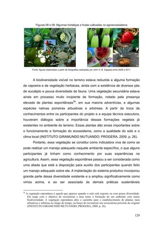 Figuras 08 e 09: Algumas hortaliças e frutas cultivadas no agroecossistema




          Fonte: figuras elaboradas a partir de fotografias realizadas por John H. B. Zappala entre 2009 e 2011.



           A biodiversidade visível no terreno estava reduzida a alguma formação
de capoeira e de vegetação herbácea, ainda com a existência de diversos pés
de eucalipto e pouca diversidade de fauna. Uma vegetação secundária estava
ainda em processo muito incipiente de formação, notado pela presença
elevada de plantas espontâneas56, em sua maioria adventícias, e algumas
espécies nativas pioneiras arbustivas e arbóreas. A partir da troca de
conhecimentos entre os participantes do projeto e a equipe técnica executora,
houveram diálogos sobre a importância dessas formações vegetais já
existentes no ambiente do terreno. Essas plantas dão sinais importantes sobre
o funcionamento e formação do ecossistema, como a qualidade do solo e o
clima local (INSTITUTO GIRAMUNDO MUTUANDO; PROGERA, 2009, p. 26).
           Portanto, essa vegetação se constitui como indicadora viva de como se
pode realizar um manejo adequado naquele ambiente específico, o que alguns
participantes já tinham como conhecimento por suas experiências na
agricultura. Assim, essa vegetação espontânea passou a ser considerada como
uma aliada que está a disposição para auxílio dos participantes quando feito
um manejo adequado sobre ela. A implantação do sistema produtivo incorporou
grande parte dessa diversidade existente e a ampliou significativamente como
vimos acima,              e ao ser associada às demais práticas sustentáveis


56
     A vegetação espontânea é aquela que aparece quando o solo está exposto ou com pouca diversidade.
      Ela surge com o objetivo de recolonizar a área rumo à formação de um ambiente com maior
      biodiversidade. A vegetação espontânea abre o caminho para o estabelecimento de plantas mais
      arbustivas e arbóreas ao longo do tempo, na busca de reconstruir um ecossistema próximo do original
      (INSTITUTO GIRAMUNDO MUTUANDO; PROGERA, 2009, p. 26).


                                                                                                                   129
 