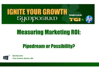 Measuring Marketing ROI:  Pipedream or Possibility?  ,[object Object],[object Object]