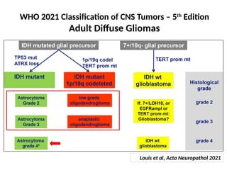 Management of Diffuse Low Grade Glioma_NSI2021.pptx_ | PPTX