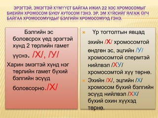 ЭРЭГТЭЙ, ЭМЭГТЭЙ ХҮМҮҮСТ БАЙГАА ИЖИЛ 22 ХОС ХРОМОСОМЫГ
БИЕИЙН ХРОМОСОМ БУЮУ АУТОСОМ ГЭНЭ. ЭР, ЭМ ХҮЙСИЙГ ЯЛГАЖ ӨГЧ
БАЙГАА ХРОМОСОМУУДЫГ БЭЛГИЙН ХРОМОСОМУУД ГЭНЭ.


      Бэлгийн эс                   Үр тогтолтын явцад
  боловсрох үед эрэгтэй
                                   эхийн /х/ хромосомтой
  хүнд 2 төрлийн гамет
                                   өндгөн эс, эцгийн /У/
  үүснэ.   /Х/, /У/                хромосомтой спермтэй
Харин эмэгтэй хүнд нэг             нийлвэл /ХУ/
  төрлийн гамет бүхий              хромосомтой хүү төрнө.
  бэлгийн эсүүд                   Эхийн /Х/, эцгийн /Х/
  боловсорно./Х/                   хромосом бүхий бэлгийн
                                   эсүүд нийлвэл /ХХ/
                                   бүхий охин хүүхэд
                                   төрнө.
 