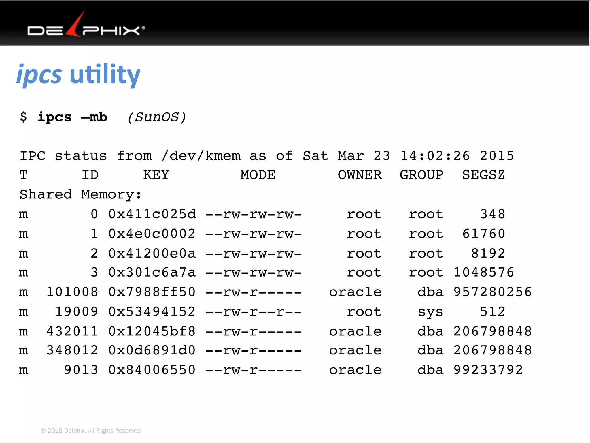 © 2015 Delphix. All Rights Reserved
ipcs	uElity	
$ ipcs –mb (SunOS)
IPC status from /dev/kmem as of Sat Mar 23 14:02:26 2015
T      ID     KEY        MODE       OWNER  GROUP  SEGSZ
Shared Memory:
m       0 0x411c025d --rw-rw-rw-     root   root    348
m       1 0x4e0c0002 --rw-rw-rw-     root   root  61760
m       2 0x41200e0a --rw-rw-rw-     root   root   8192
m       3 0x301c6a7a --rw-rw-rw-     root   root 1048576
m  101008 0x7988ff50 --rw-r-----   oracle    dba 957280256
m   19009 0x53494152 --rw-r--r--     root    sys    512
m  432011 0x12045bf8 --rw-r-----   oracle    dba 206798848
m  348012 0x0d6891d0 --rw-r-----   oracle    dba 206798848
m    9013 0x84006550 --rw-r-----   oracle    dba 99233792
 