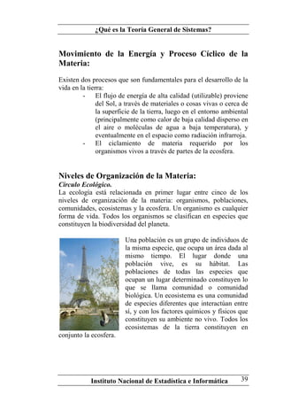 Teoria General de Sistemas