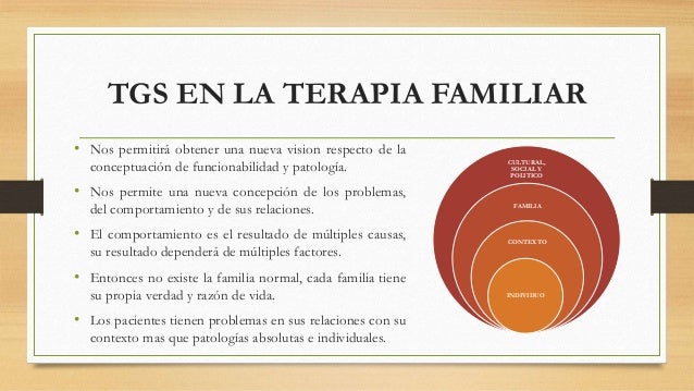 TEORIA GENERAL DE SISTEMAS