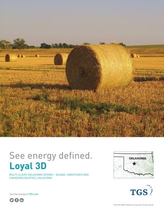See the energy at TGS.com
Spec sheet
Click to place
your Image
LOYAL COMPLEX 3D
MULTI-CLIENT 3D SURVEY 756 mi2
Blaine, Kingfisher & Canadian Counties, Oklahoma
 
