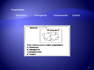 Propiedades:

    Estructura   Emergencia   Comunicación   Control




                                                       13
 