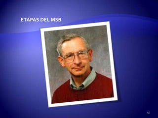 ETAPAS DEL MSB




                 50
 