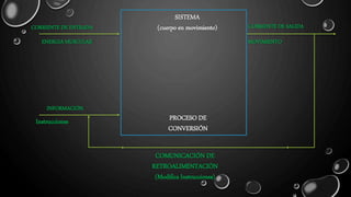 INFORMACIÓN.
ENERGIA MUSCULAR
Instrucciones
SISTEMA
(cuerpo en movimiento)
COMUNICACIÓN DE
RETROALIMENTACIÓN
(Modifica Instrucciones)
PROCESO DE
CONVERSIÓN
CORRIENTE DE ENTRADA
MOVIMIENTO
CORRIENTE DE SALIDA
 