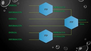 INFORMACIÓN.
ENERGIA.
INFORMACIÓN.
ENERGIA.
INFORMACIÓN.
ENERGIA.
ENERGIA Y/O
INFORMACIÓN.
ENERGIA Y/O
INFORMACIÓN.
PRODUCTO
FINAL
 