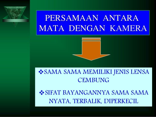 Alat Optik Kamera Alat Optik Kamera