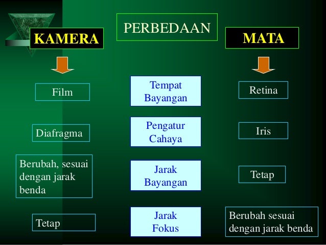 Kesamaan fungsi antara mata dan kamera adalah